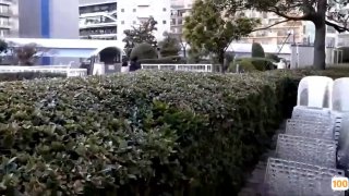 97福利视频1000集⭕❌亚洲精品99久久久久中文字幕